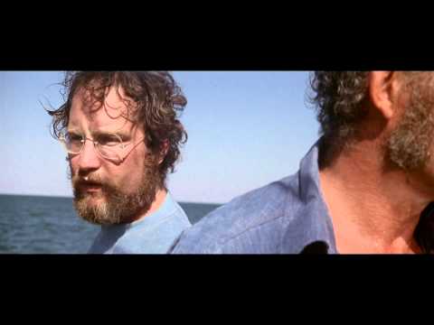 Miniatura del vídeo