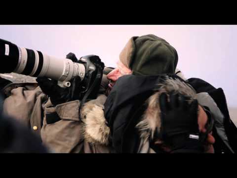 Miniatura del vídeo