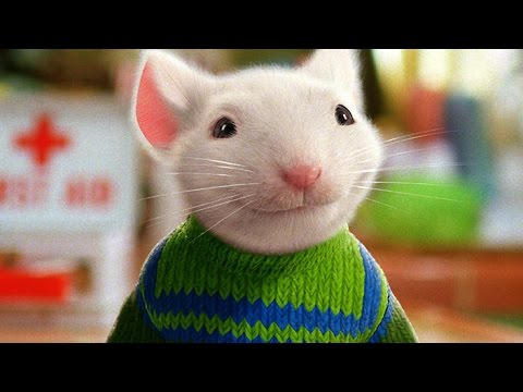 Miniatura del vídeo