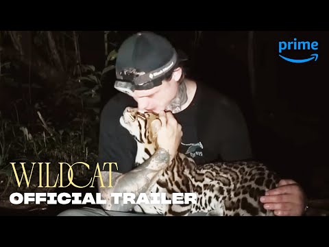 Miniatura del vídeo